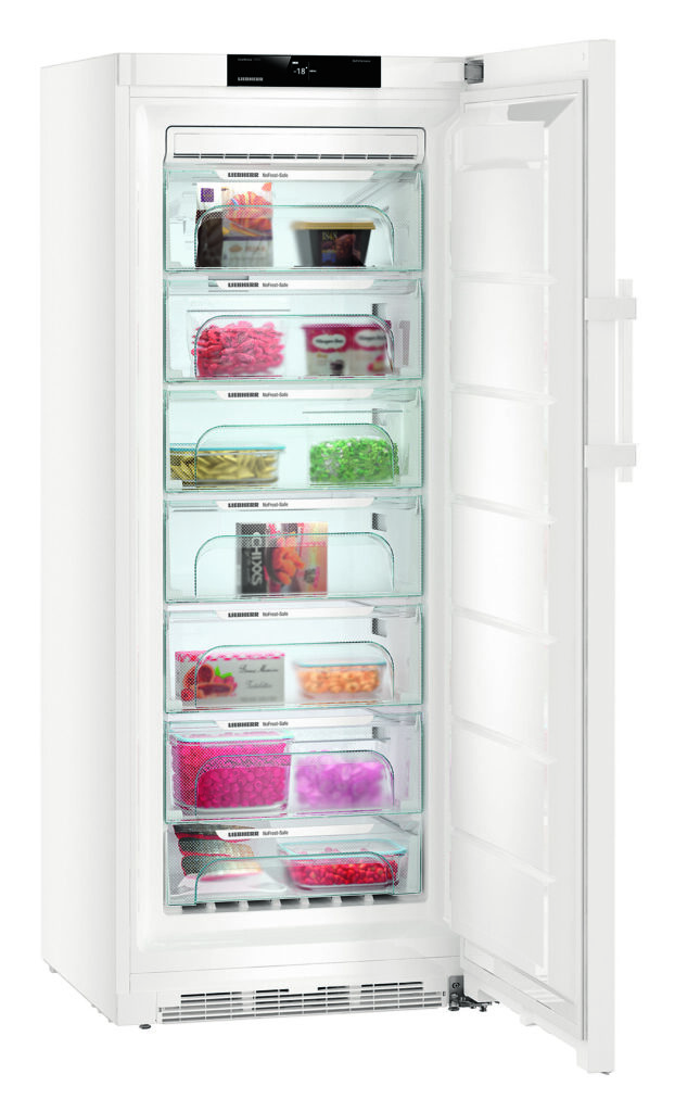 Gefrierschrank GN 4615